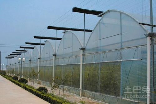 匠心筑夢，花開滿棚——優質花卉鋼架大棚廠家推薦指南