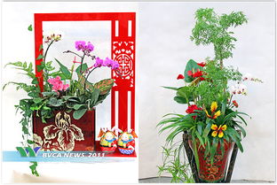 園藝系掛職教師助力服務單位打造特色花卉產品
